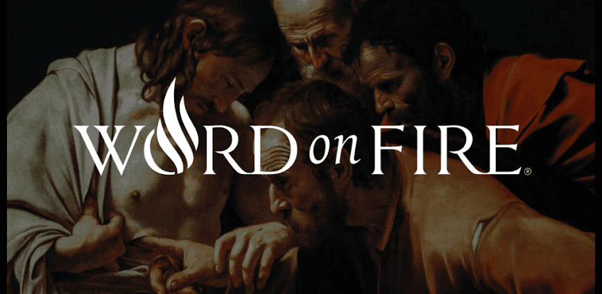 Word on Fire Institute