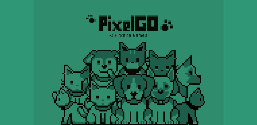 PixelGO