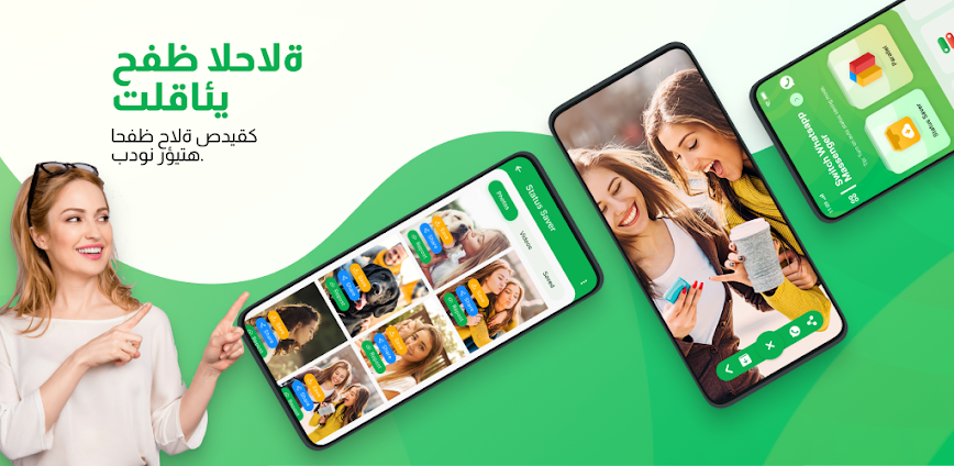 حفظ الحالة – حالة الفيديو