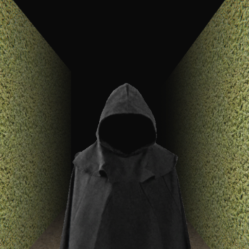 The Maze