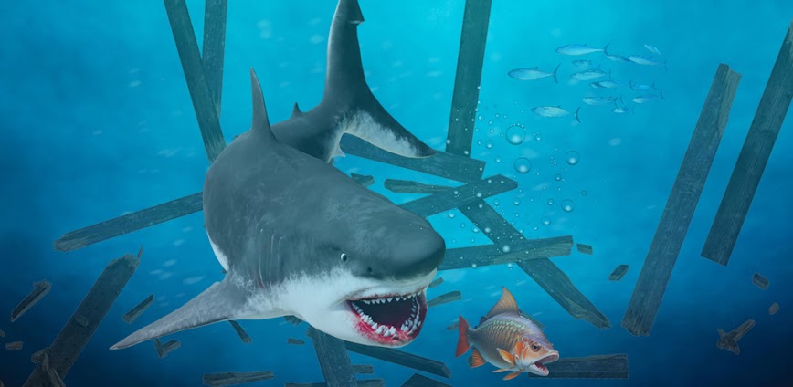 Wild Shark Games – Fish Eater