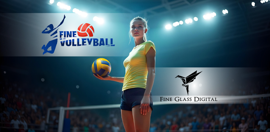 Fine Volleyball