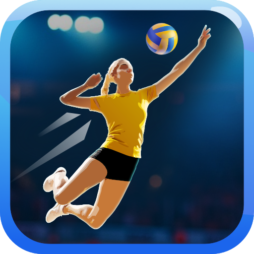 Fine Volleyball