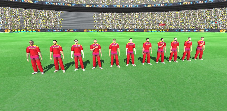 Real Championship Cricket Game