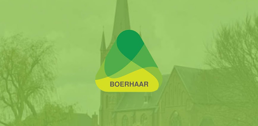 Boerhaar