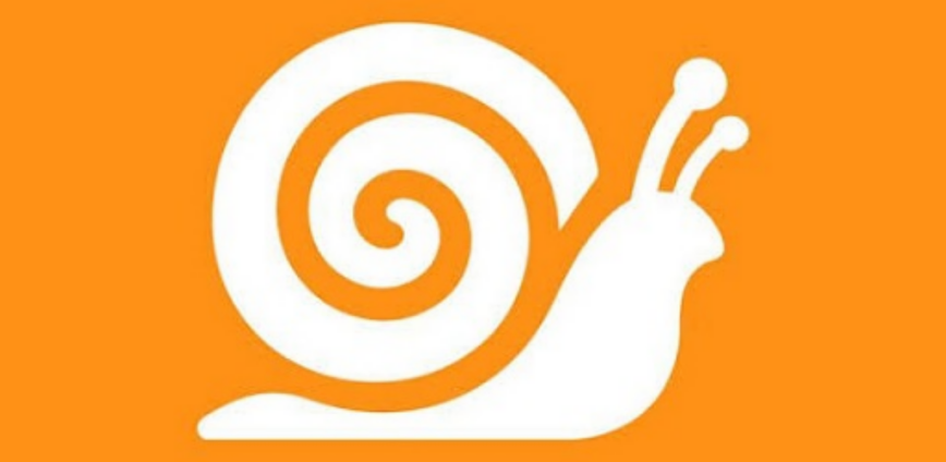 SLOW DNS