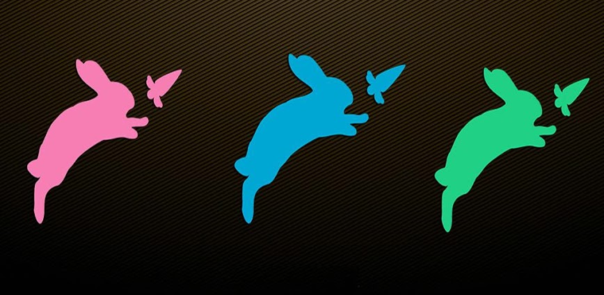 Runner Rabbit 2D