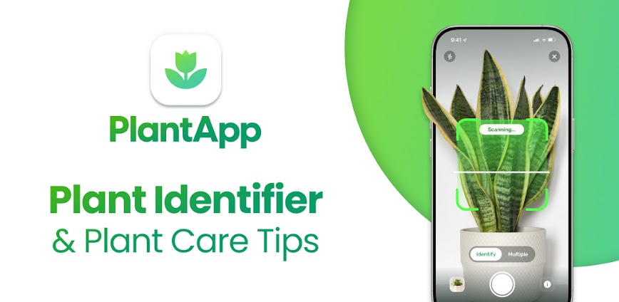 Plant App – Plant Identifier