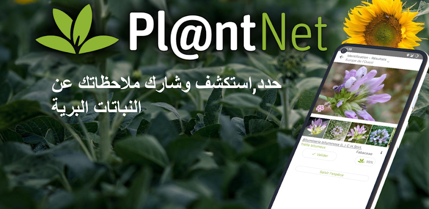 بلانت نت تحديد نوع النبات